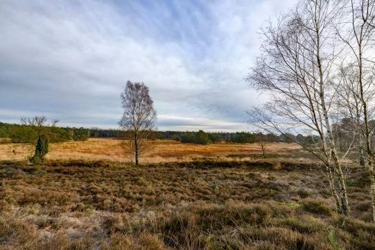 Vakantiebungalow De Schaapskooi Epe Exterior foto